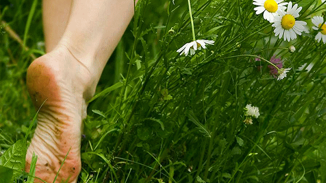 barefooting prato piedi nudi