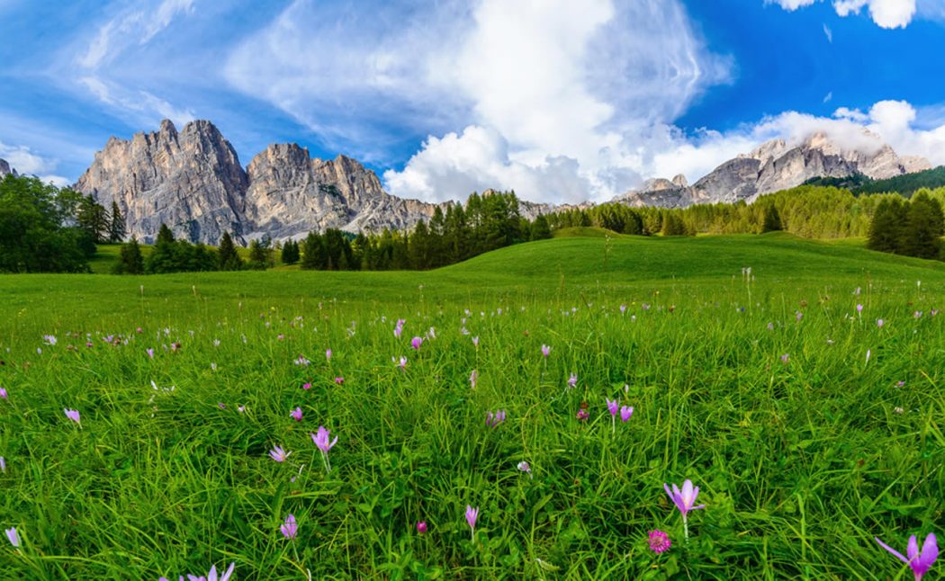 Spa con vista sul Trentino Alto Adige